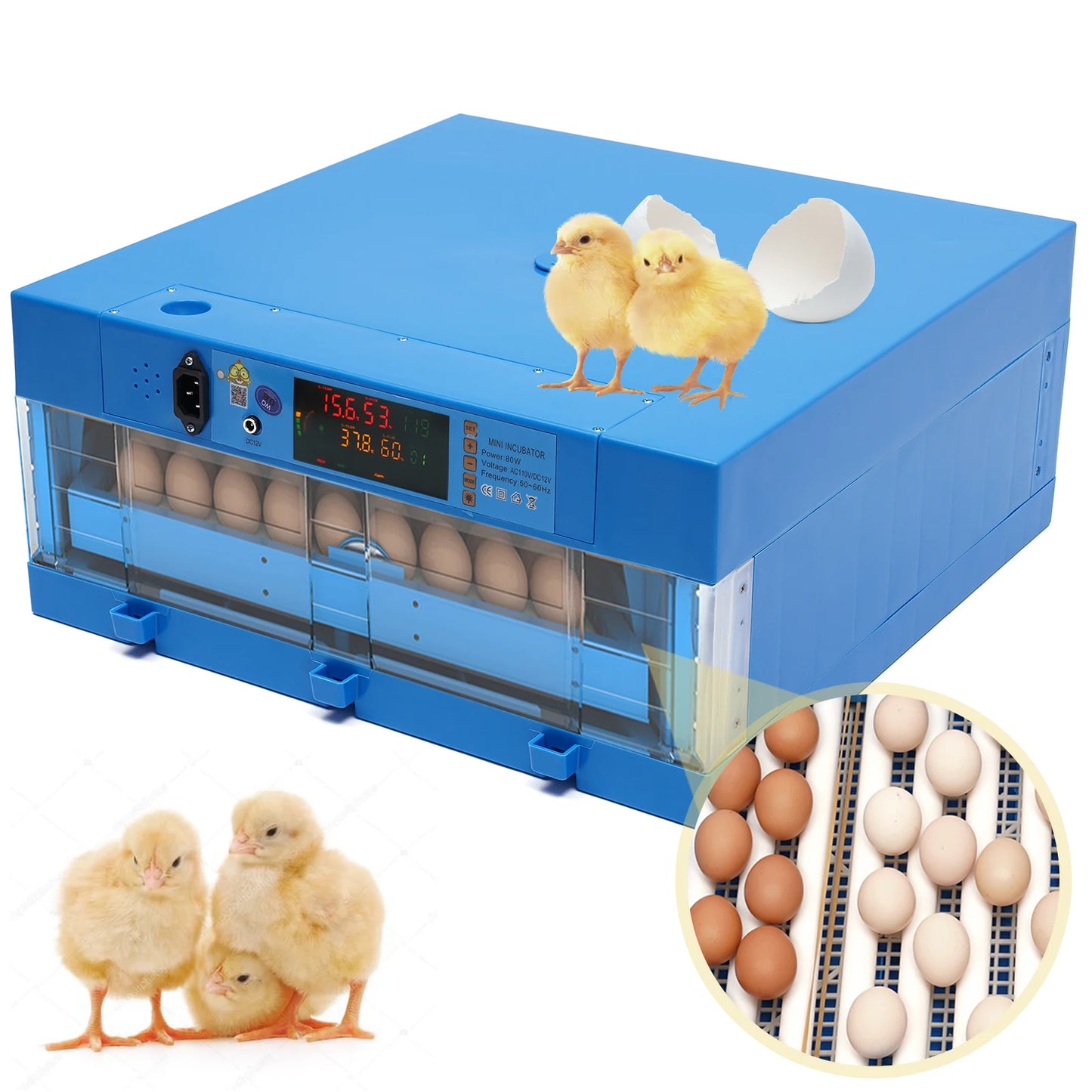 Chicken Egg Hatcher Temperature Control for Hatching